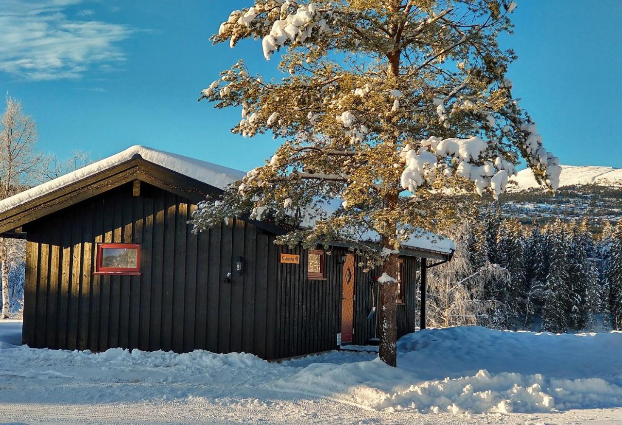 Trysil Hyttegrend מראה חיצוני תמונה