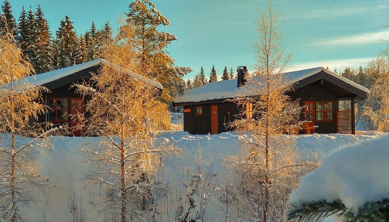 Trysil Hyttegrend מראה חיצוני תמונה