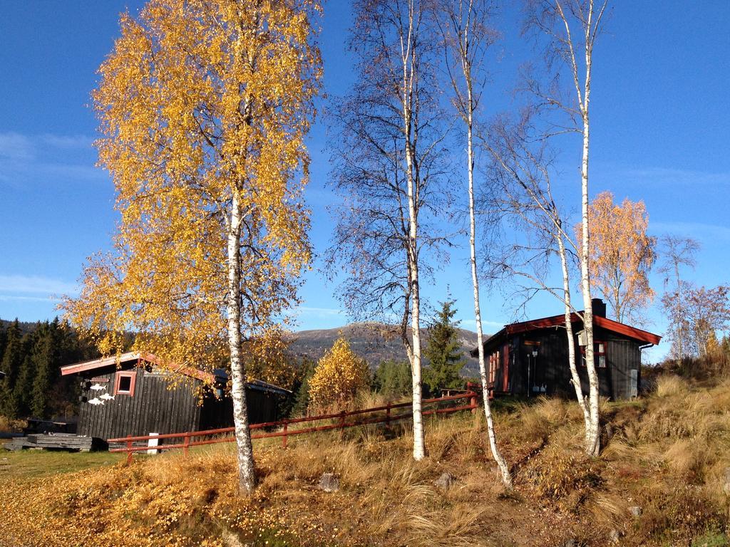 Trysil Hyttegrend מראה חיצוני תמונה