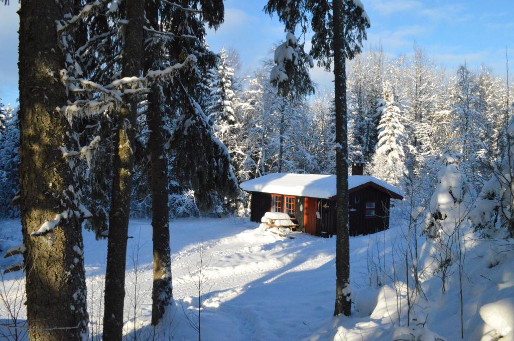 Trysil Hyttegrend מראה חיצוני תמונה