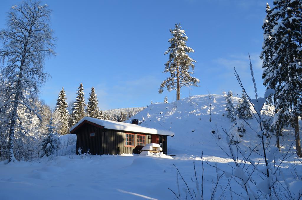 Trysil Hyttegrend מראה חיצוני תמונה