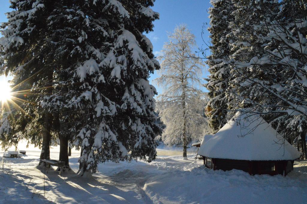 Trysil Hyttegrend מראה חיצוני תמונה