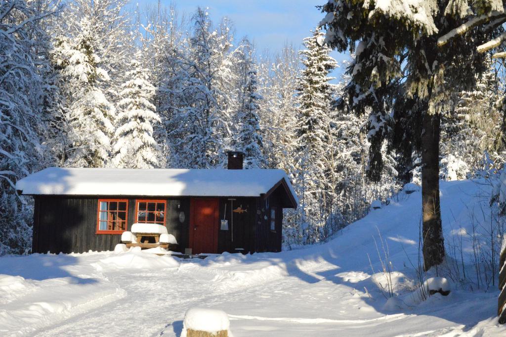 Trysil Hyttegrend מראה חיצוני תמונה